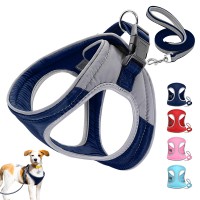 2020 Hot Selling Wholesale Reflective Nylon  Pet Harness With Leash